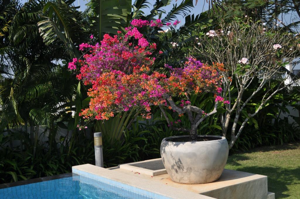 Balinese Villa With Private Pool Hua Hin Bagian luar foto